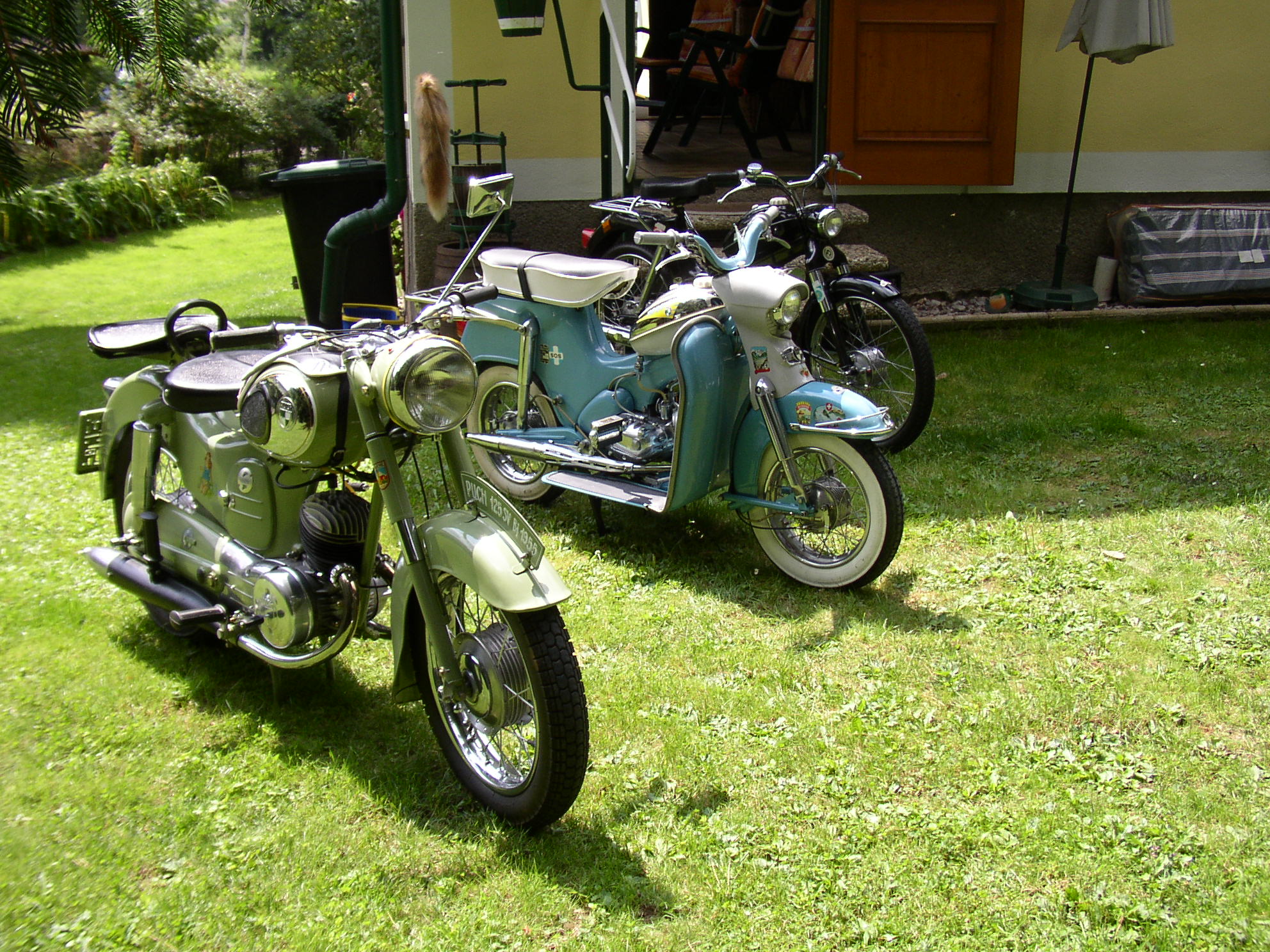 SV125 Bj 1955